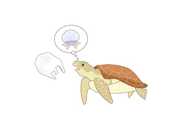 look likeのイラスト